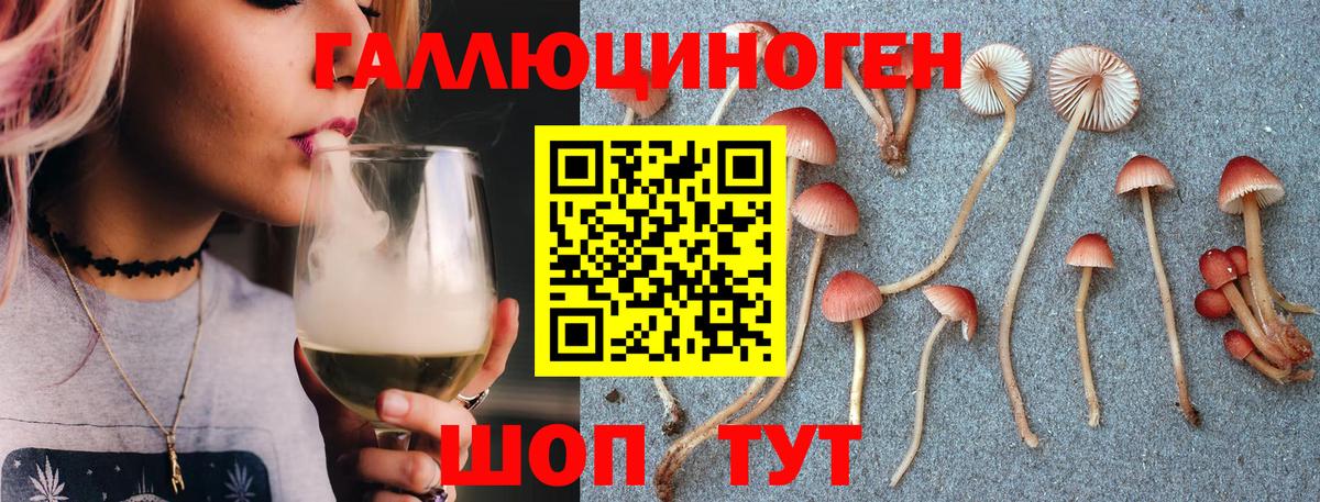 Галлюциногенные грибы MAGIC MUSHROOMS  Псилоцибиновые грибы Psilocybine cubensis  Тихвин  Вход с VPN 